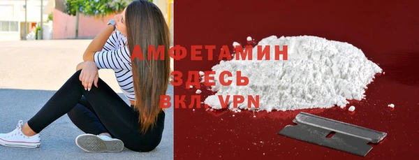 Альфа ПВП Инсар