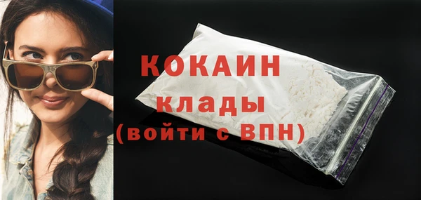 Альфа ПВП Инсар