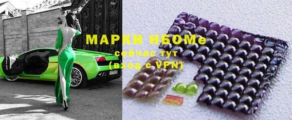 Альфа ПВП Инсар