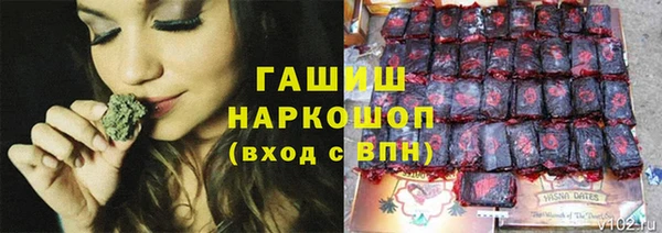 Альфа ПВП Инсар