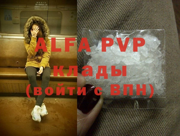Альфа ПВП Инсар