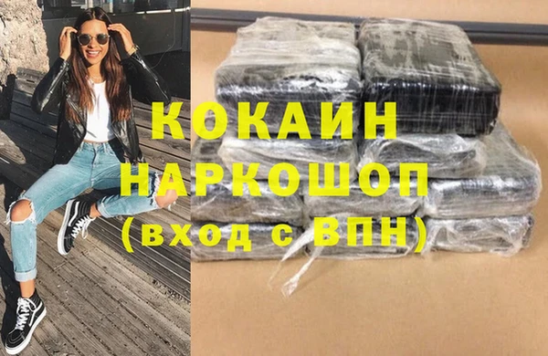 Альфа ПВП Инсар