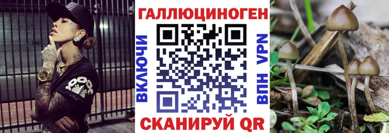 Купить  Городец  Псилоцибиновые грибы мухоморы 