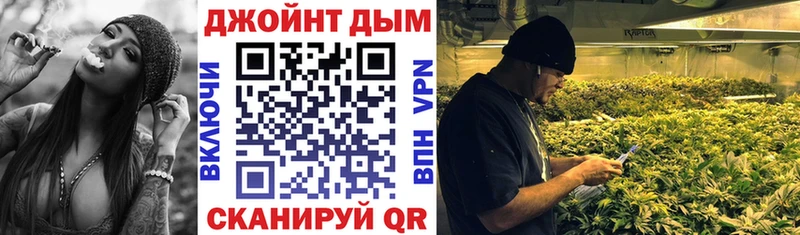 Купить где  Городец  Конопля семена 